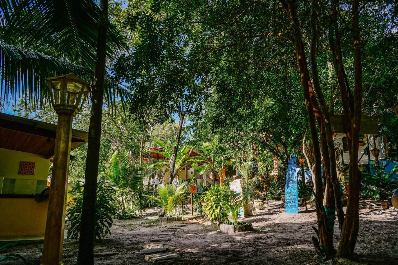 Macaco Surf Hostel Praia de Pipa Eksteriør billede