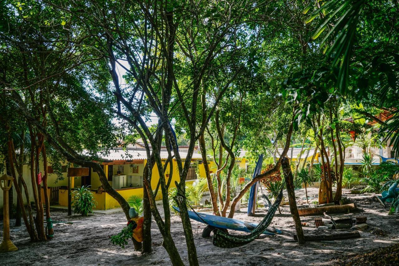 Macaco Surf Hostel Praia de Pipa Eksteriør billede
